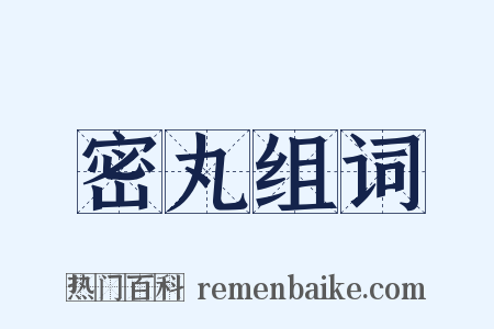 密丸组词是什么意思的图片